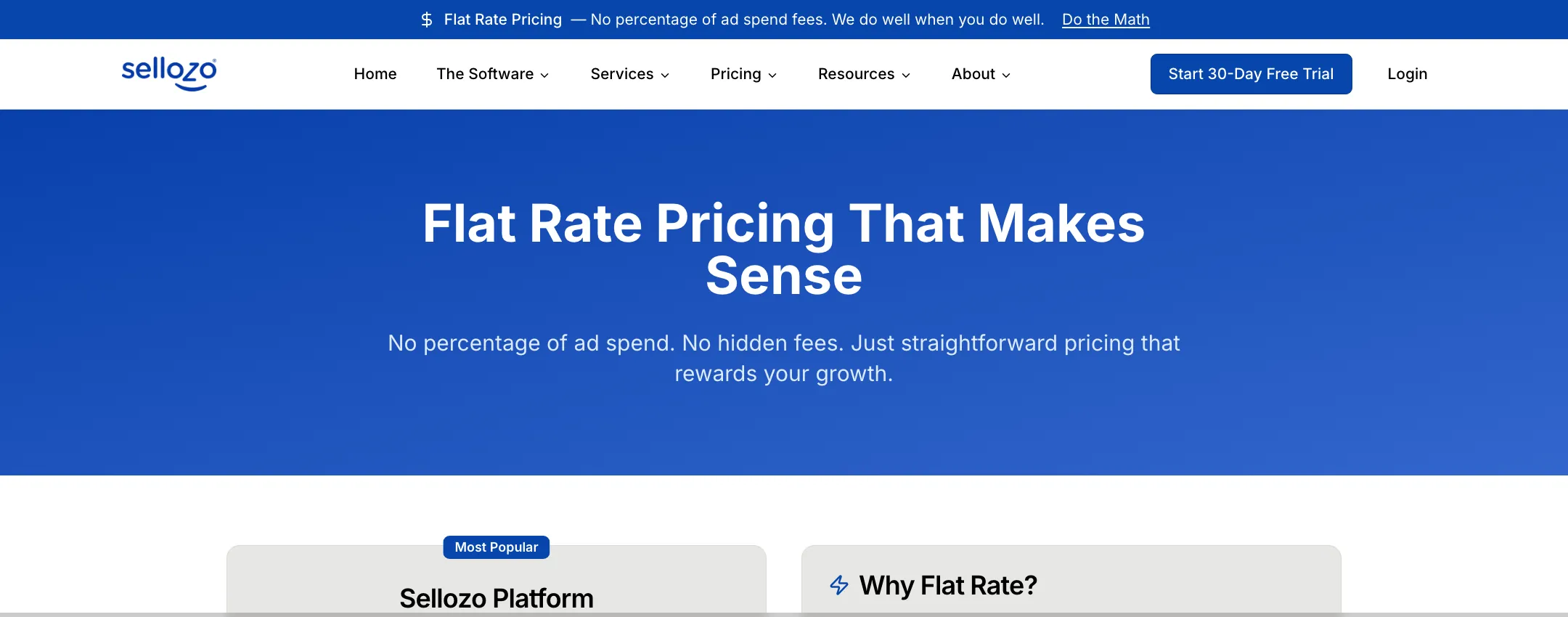 Sellozo pricing page header: flat rate pricing that makes sense, no percentage of ad spend, start a 30-day free trial